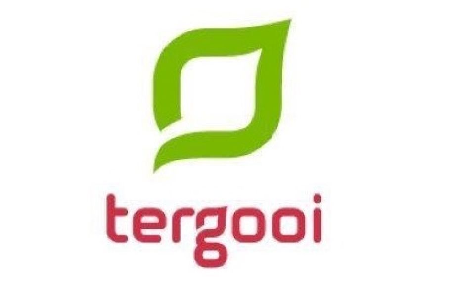 Logo Tergooi Ziekenhuis
